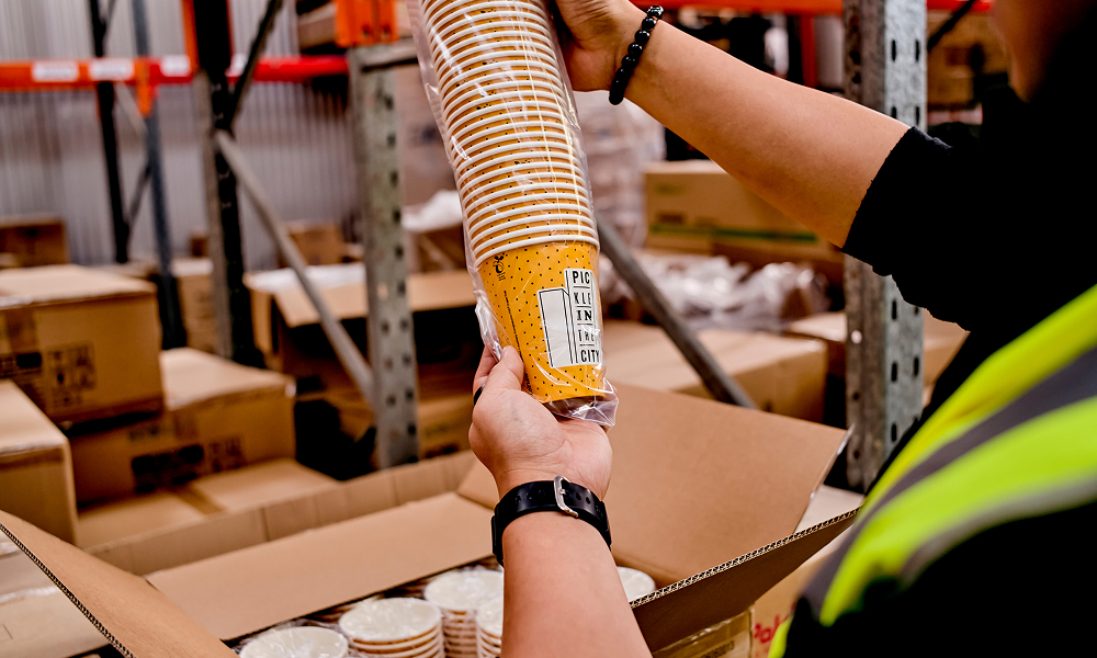 EcoFlow Packaging 1