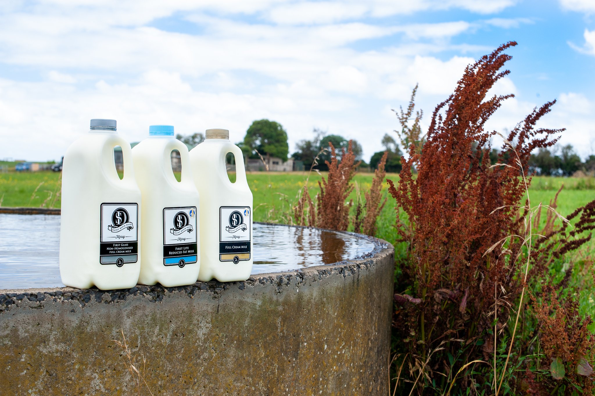 St David Products 1