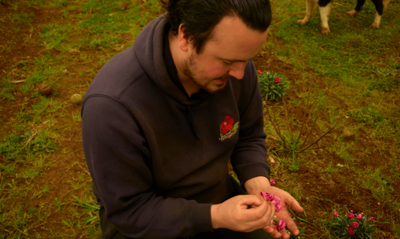 Spurrell Foraging - Ordermentum-1