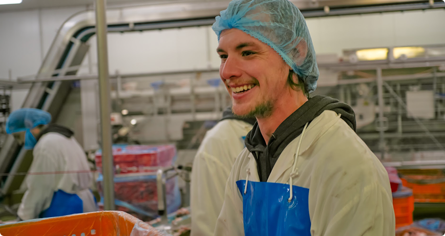 meat poultry egg suppliers ordermetum