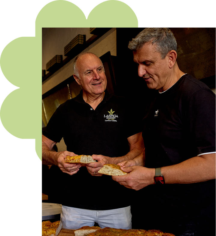 Group 336-Feb-01-2026-11-41-32-4051-PM