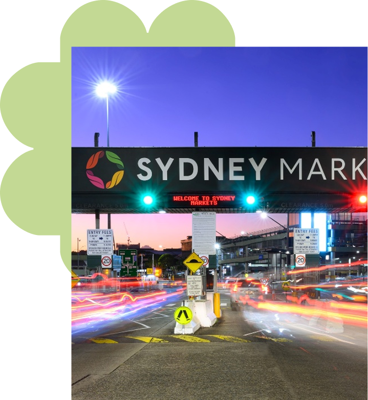 Group 336-Feb-05-2026-11-20-24-3791-PM