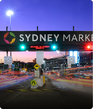 Rectangle 2234-1-Feb-05-2026-10-57-09-8104-PM