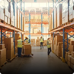 Rectangle 2234-Feb-17-2026-09-10-50-4179-PM