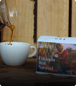 Rectangle 2235-Feb-03-2026-11-23-31-2918-PM