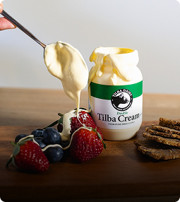 Rectangle 2235-Feb-17-2026-09-08-58-9638-PM